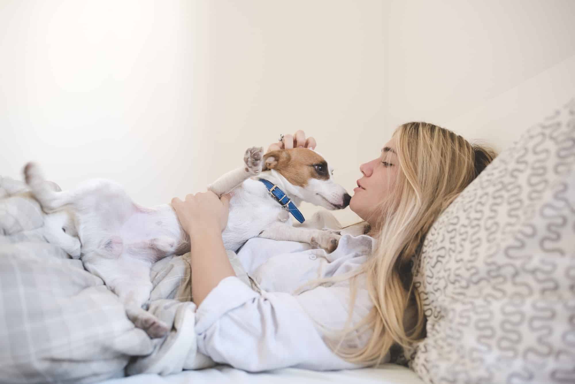 Young woman lying bed dog